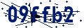 Código de seguridad