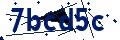Código de seguridad