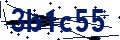 Código de seguridad
