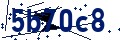 Código de seguridad