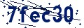 Código de seguridad
