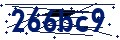 Código de seguridad