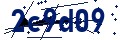 Código de seguridad