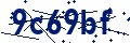 Código de seguridad