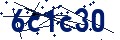 Código de seguridad