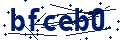 Código de seguridad
