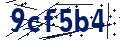 Código de seguridad