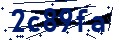 Código de seguridad