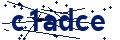 Código de seguridad
