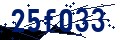 Código de seguridad