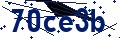 Código de seguridad