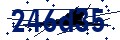 Código de seguridad