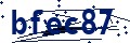 Código de seguridad