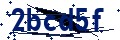 Código de seguridad