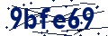 Código de seguridad