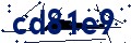 Código de seguridad