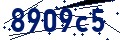 Código de seguridad