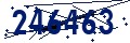 Código de seguridad
