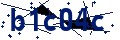 Código de seguridad
