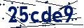 Código de seguridad