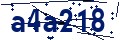 Código de seguridad
