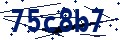 Código de seguridad