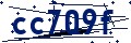 Código de seguridad