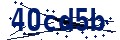 Código de seguridad