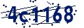 Código de seguridad
