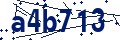 Código de seguridad