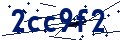 Código de seguridad