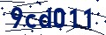 Código de seguridad