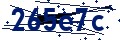 Código de seguridad