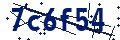 Código de seguridad