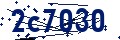 Codice di sicurezza