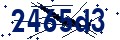 Codice di sicurezza