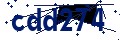 Codice di sicurezza