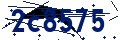 Codice di sicurezza