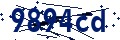 Codice di sicurezza