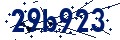 Codice di sicurezza