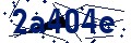 Codice di sicurezza