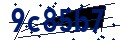 Codice di sicurezza