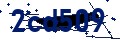Codice di sicurezza