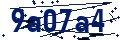 Codice di sicurezza