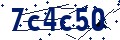 Codice di sicurezza