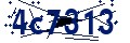Codice di sicurezza