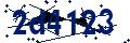 Codice di sicurezza