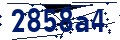 Codice di sicurezza