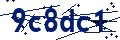 Codice di sicurezza