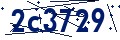 Codice di sicurezza